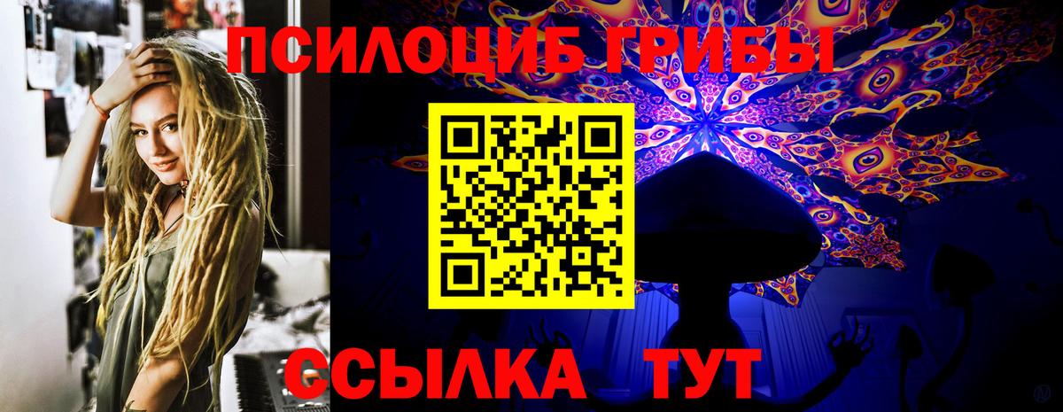 Псилоцибиновые грибы Cubensis Менделеевск