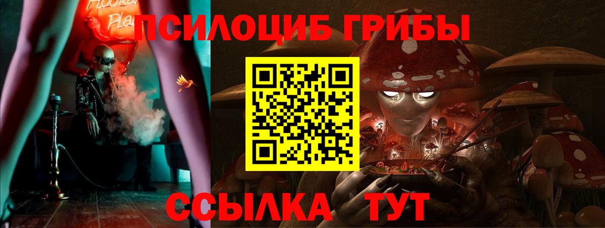 Галлюциногенные грибы MAGIC MUSHROOMS  Вход с VPN  Галлюциногенные грибы Psilocybe  дарнет шоп  Менделеевск 